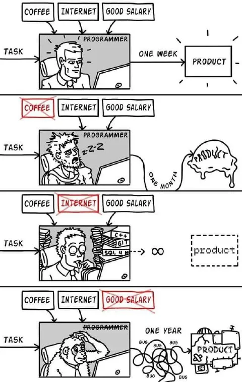 Programmer Life Cycle