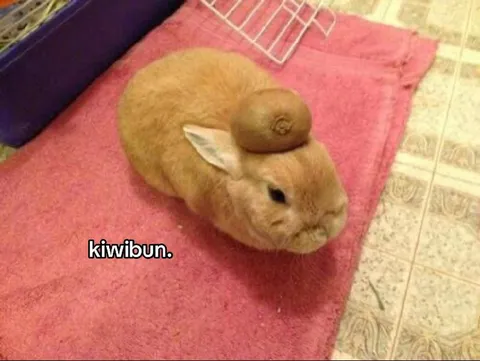 Кролик с картошкой на голове