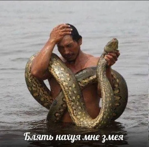 Блять нахуя мне змея