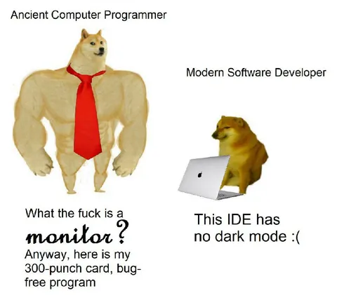 Ancient Programmer vs Modern Developer