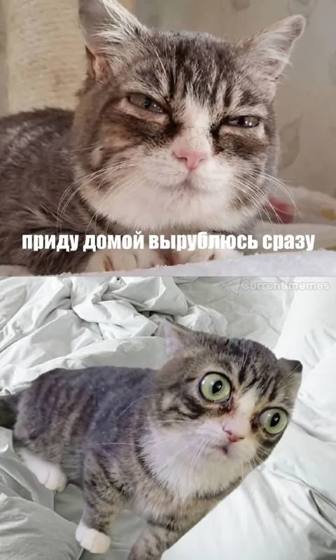 Приду домой и вырублюсь сразу