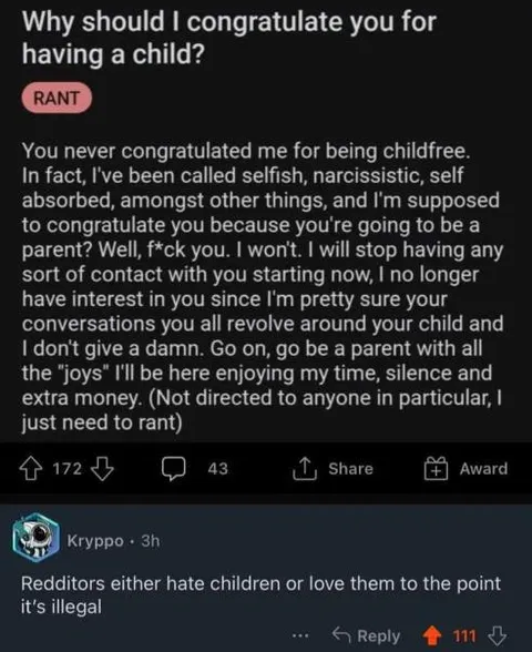 Childfree Reddit Rant