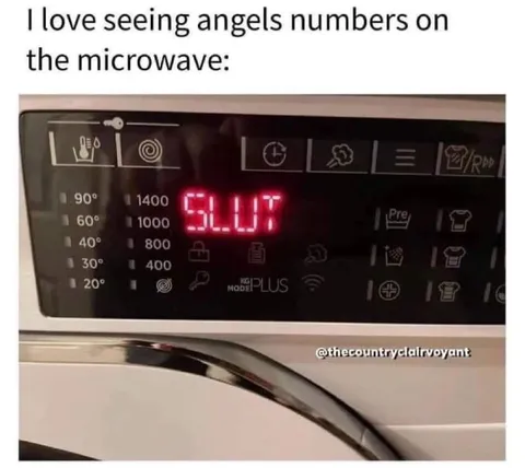 Microwave Angel Numbers Say Slut