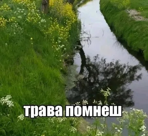 Трава помнешь у ручья