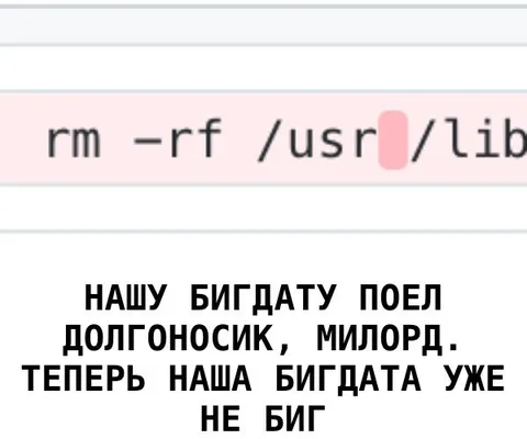 Долгоносик съел бигдату