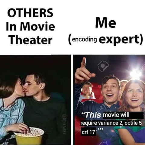 Encoding Expert in the Theater