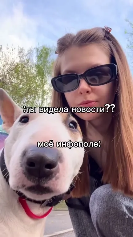 Моё инфополе после новостей