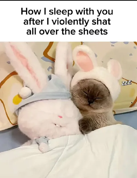 Sleeping After Shitting Everywhere