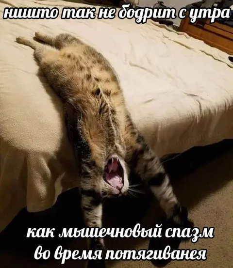 Ничто так не бодрит с утра