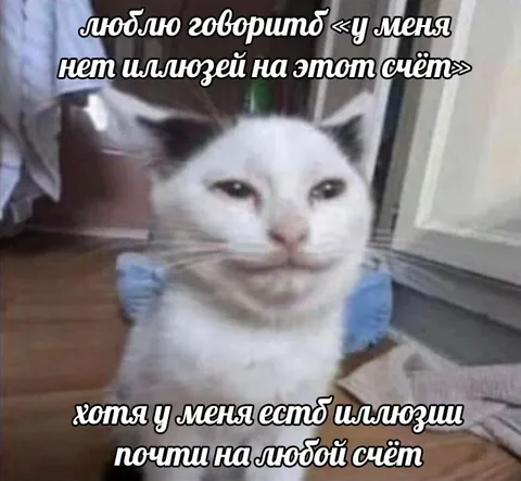 Кот с иллюзиями на всё