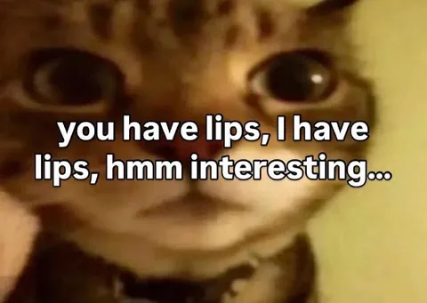 You Have Lips, I Have Lips