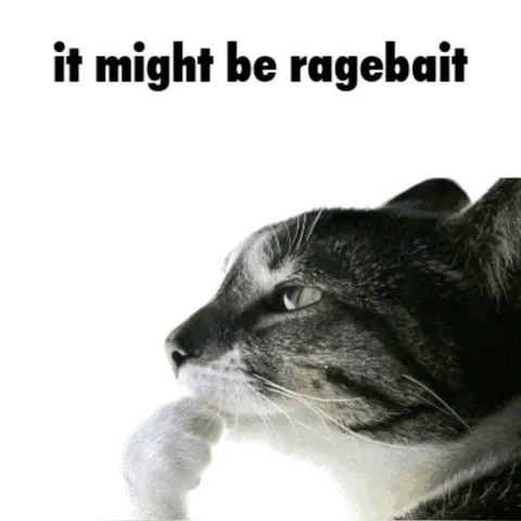 It Might Be Ragebait Cat