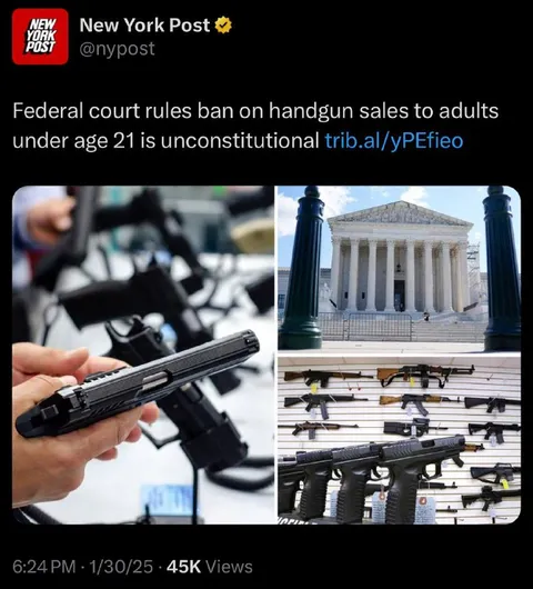 Federal Court Gun Sale Ruling