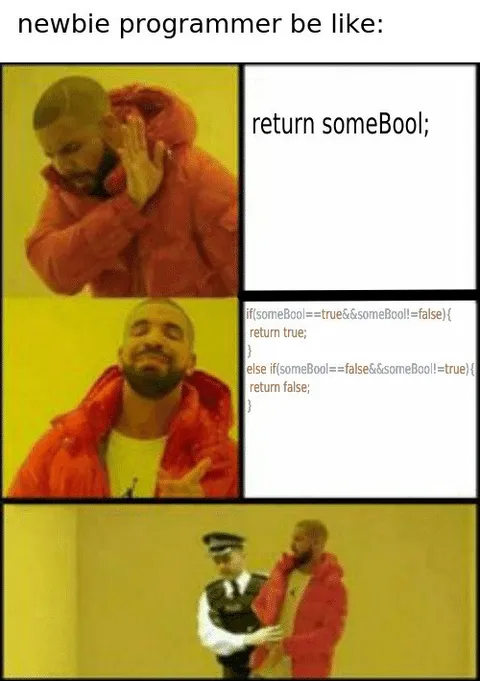 Newbie Programmer Be Like