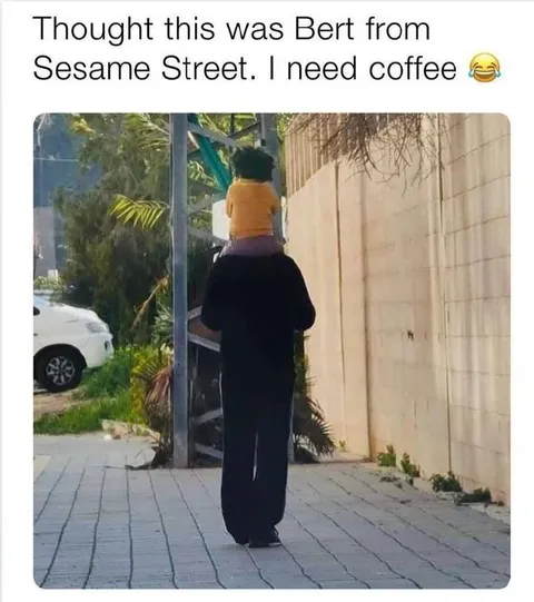 Thought This Was Bert
