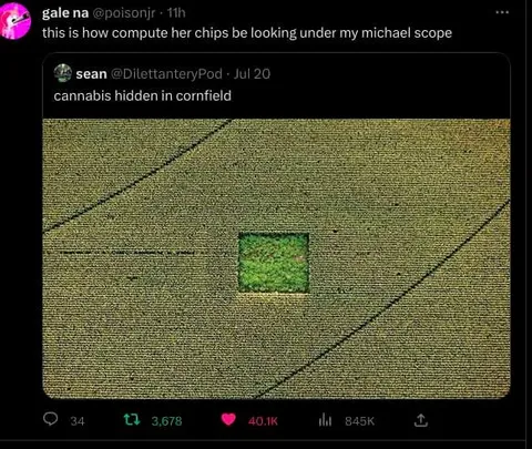 Microscope Finds Cannabis in Cornfield