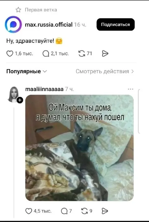 Максим снова дома
