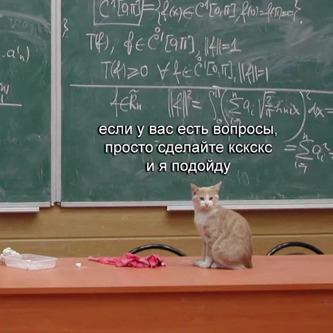 Кот подойдёт на вопросы