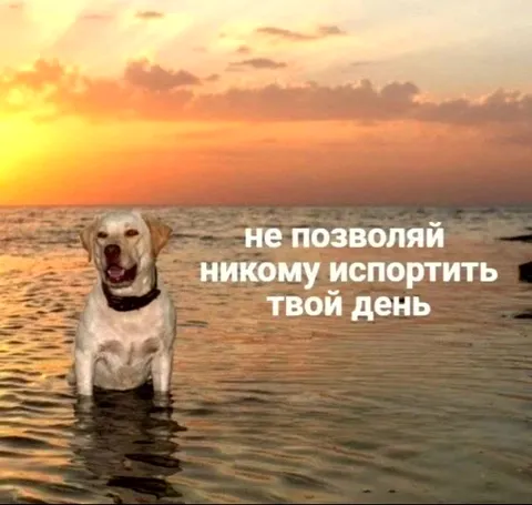 Испорть свой день сам