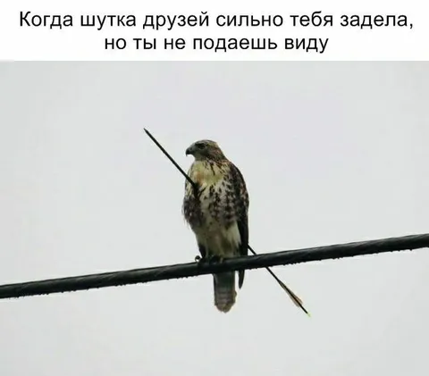 Когда шутка сильно задела