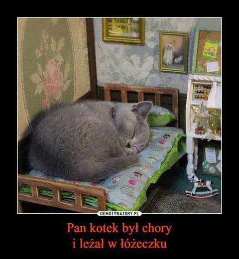 Pan kotek był chory