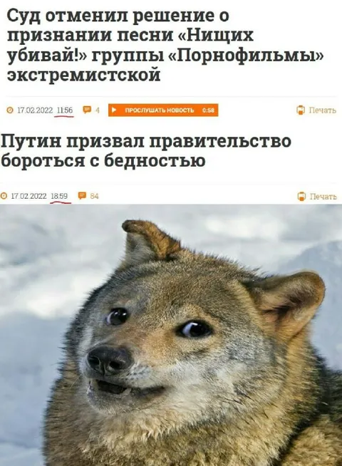 Собака читает новости
