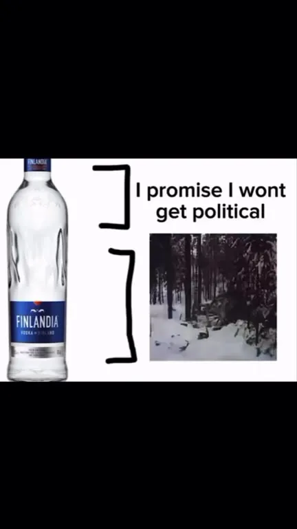 I Promise I Wont Get Political