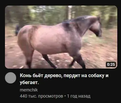 Конь пердит на собаку