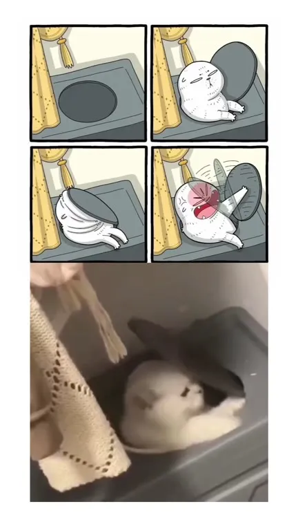 Кот танцует в стиральной машине