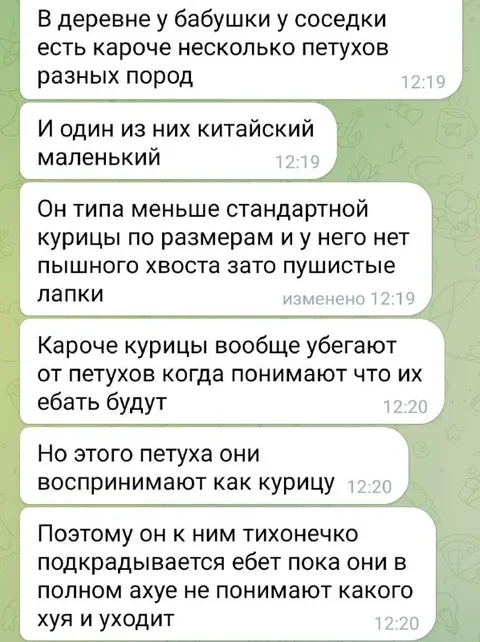 Китайский петух притворяется курицей