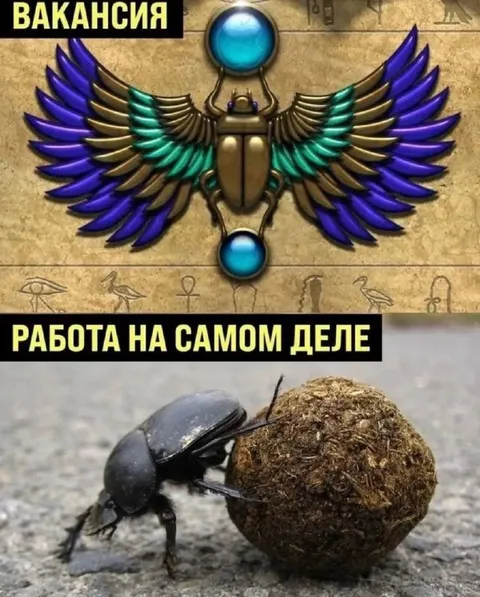 Вакансия и работа на самом деле