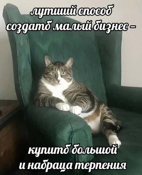 Кот и малый бизнес