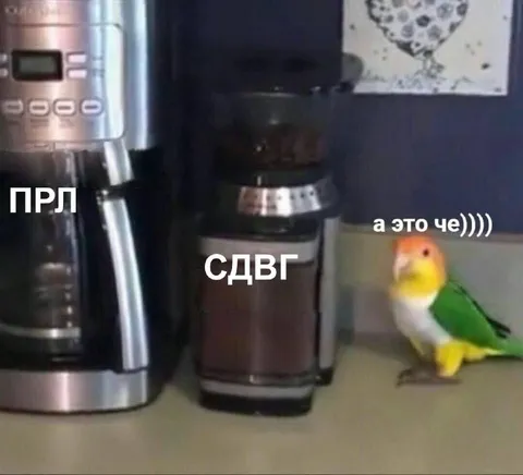 А это че, СДВГ?