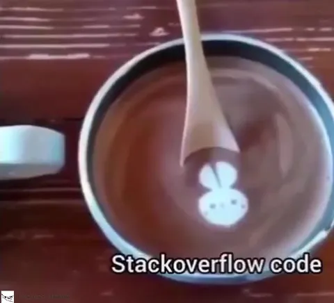 Stack Overflow Code Becomes My Code