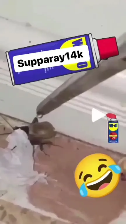 Roach vs WD-40