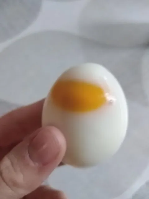 Яйцо с сюрпризом