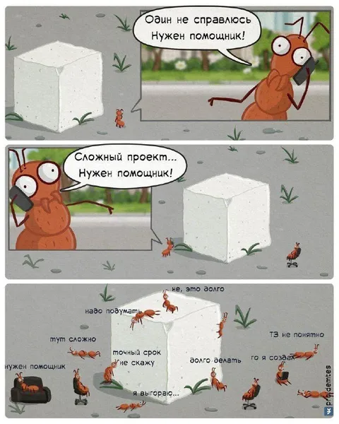 Муравьи и сложный проект