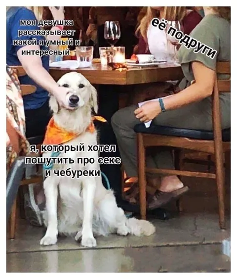 Шутка про секс и чебуреки