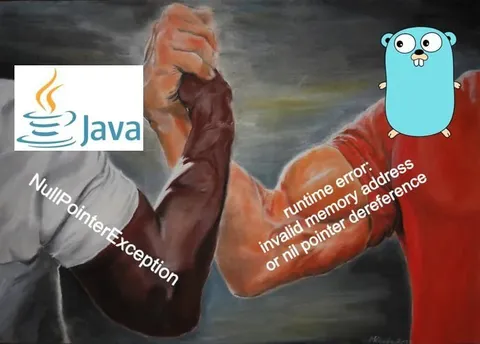 Java and Go Runtime Errors