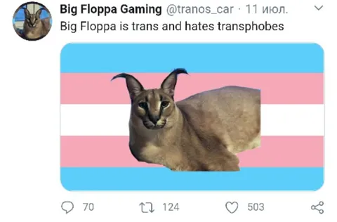 Big Floppa Hates Transphobes