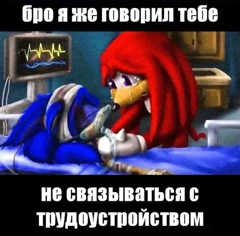 Не связываться с трудоустройством