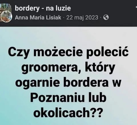 Groomer dla borderów w Poznaniu
