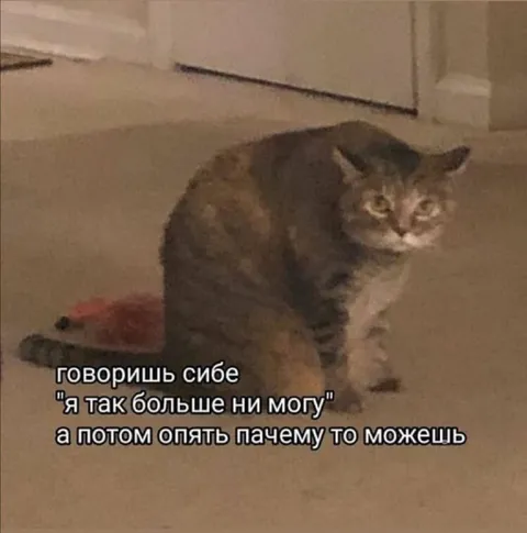 Опять почему-то можешь