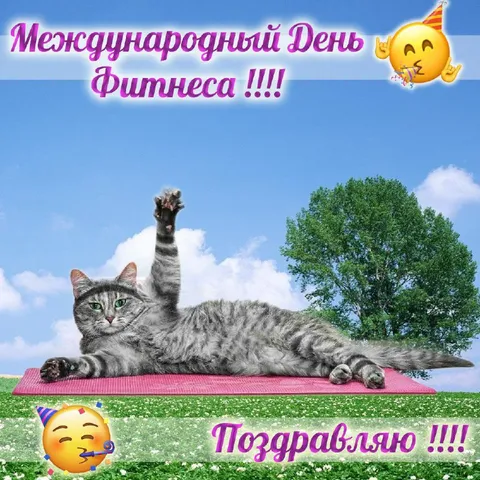 Международный день фитнеса