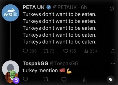 Turkey Mention Strongman Reply