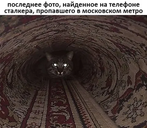 Фото сталкера в московском метро