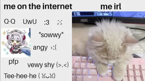 Me on the Internet vs IRL