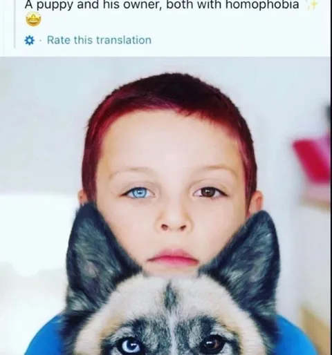 Puppy and Owner With Homophobia