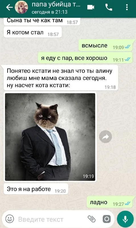 Кот на работе в костюме