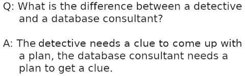 Detective and Database Consultant